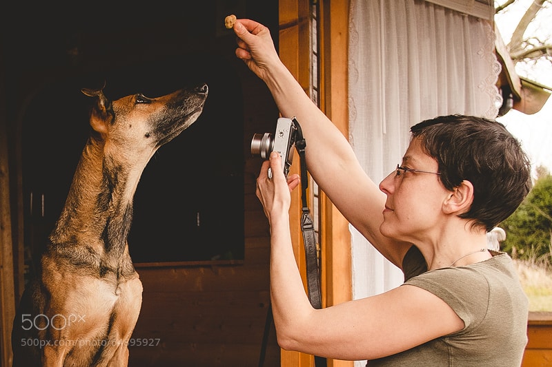 7+1 tipp, hogy majdnem profik legyenek a kutya fotók, amiket házilag csinász